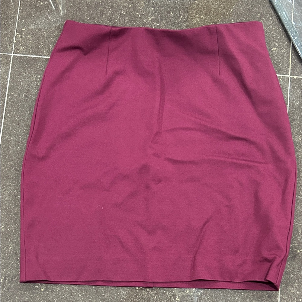 Taluna (Aritzia) Elegant Burgundy Women's Skirt